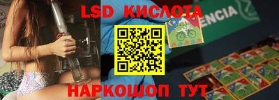 прущие грибы Кингисепп
