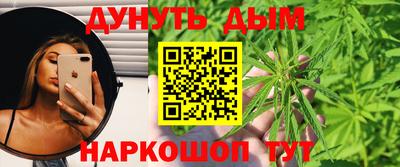 прущие грибы Кингисепп