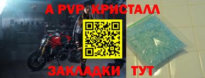 прущие грибы Кингисепп