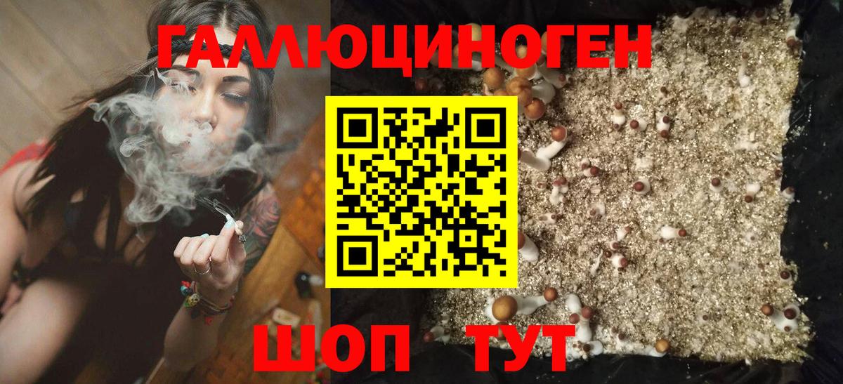 Галлюциногенные грибы ЛСД Ленинск-Кузнецкий