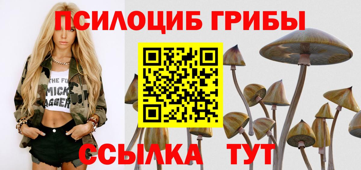 Галлюциногенные грибы прущие грибы  Вход с VPN  Ленинск-Кузнецкий 